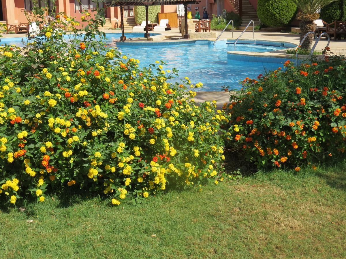 Africana Hotel & Spa Qaryat Shakush 외부 사진